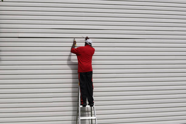 Best Stone Veneer Siding  in Medford, MA